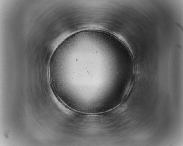 X0000100391391200806130942