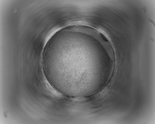 X0000100391392200806130942