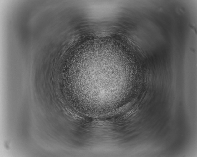 X0000100391393200806130941