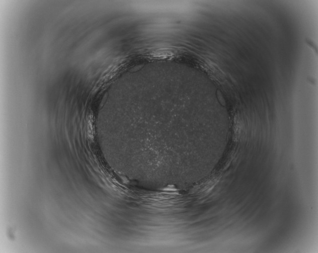 X0000100391394200806130941