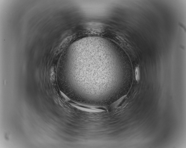 X0000100391395200806130941