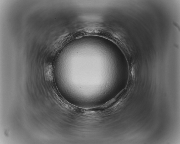 X0000100391396200806130941