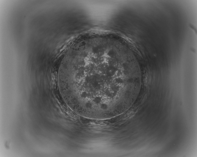 X0000100391397200806130941