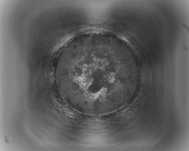 X0000100391399200806130941