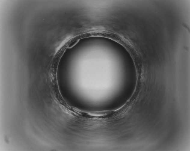 X0000100391400200806130941