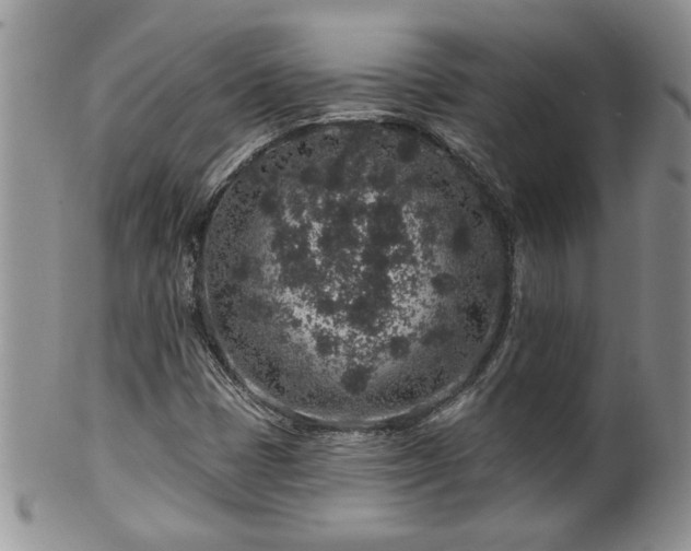 X0000100391401200806130941