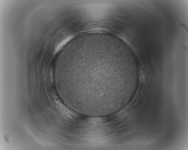 X0000100391402200806130941