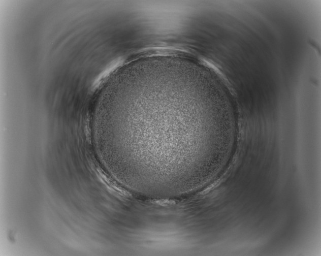 X0000100391403200806130941