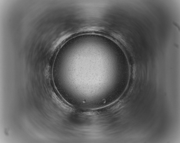 X0000100391404200806130941