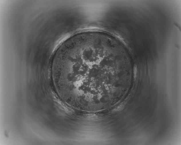 X0000100391405200806130941