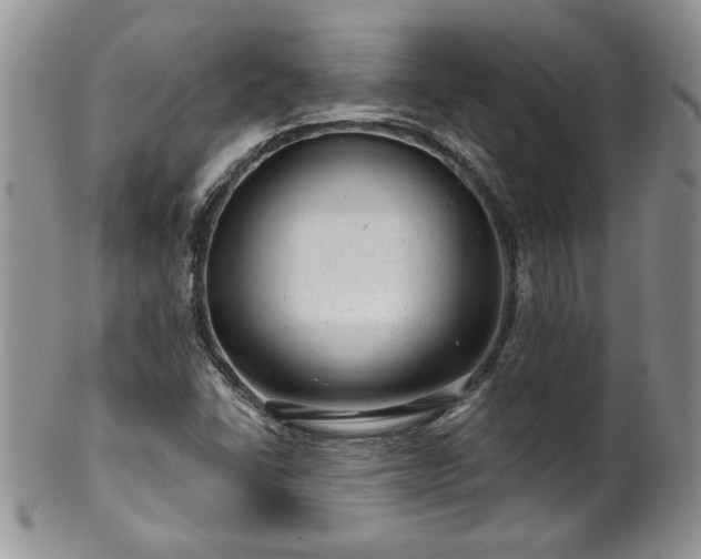 X0000100391406200806130941