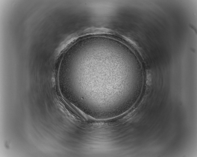 X0000100391407200806130941