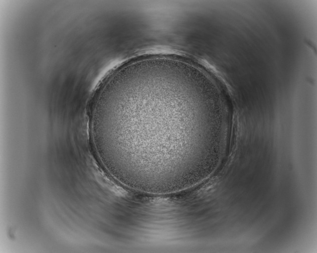 X0000100391408200806130941