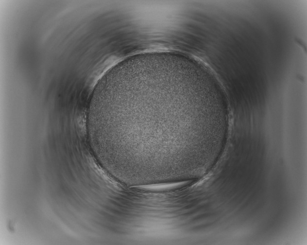 X0000100391409200806130941