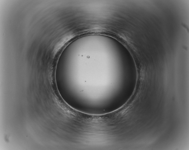 X0000100391410200806130941