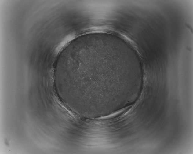 X0000100391411200806130941