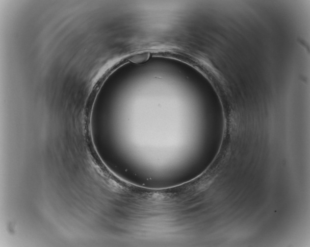 X0000100391412200806130941