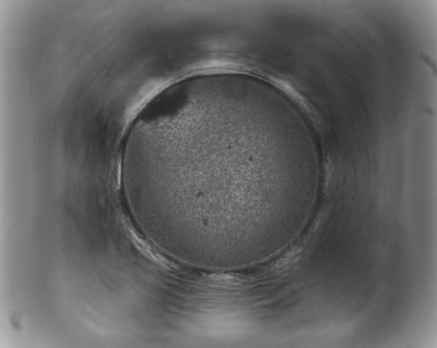 X0000100391413200806130941