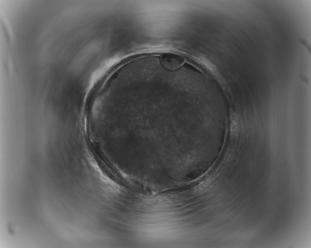 X0000100391414200806130941