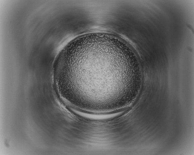 X0000100391415200806130941