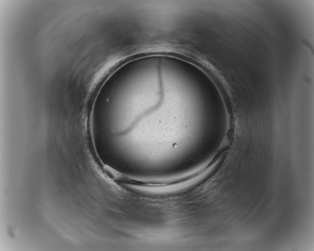 X0000100391416200806130941