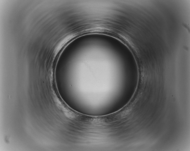 X0000100391418200806130941