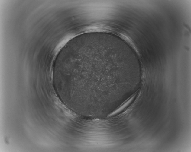 X0000100391419200806130941