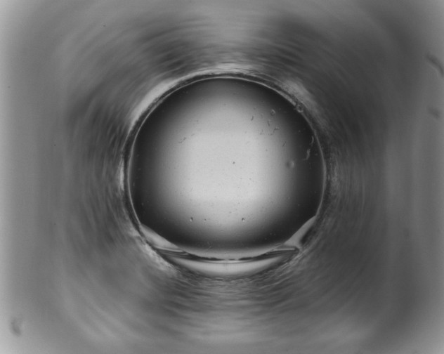 X0000100391420200806130941