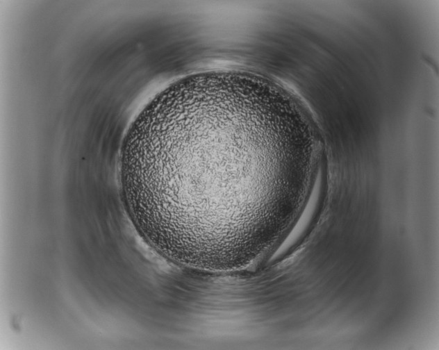 X0000100391421200806130941