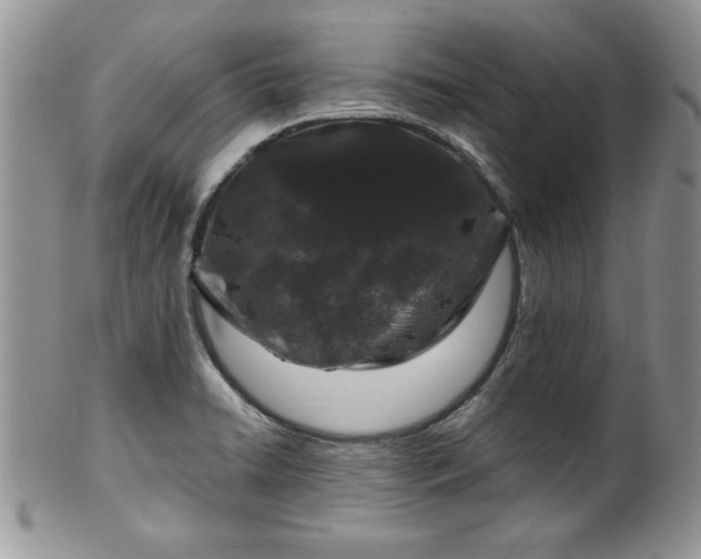 X0000100391422200806130941