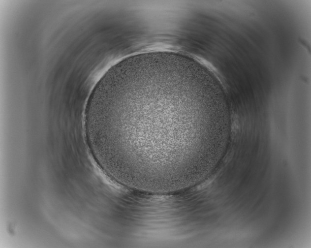 X0000100391423200806130941