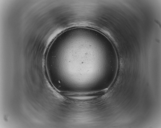 X0000100391424200806130942