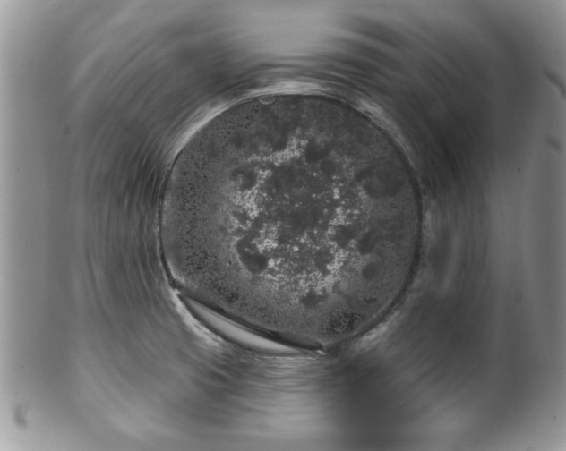 X0000100391425200806130942