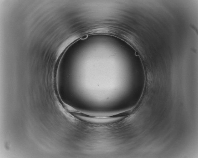 X0000100391426200806130942