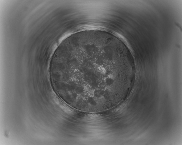 X0000100391427200806130942