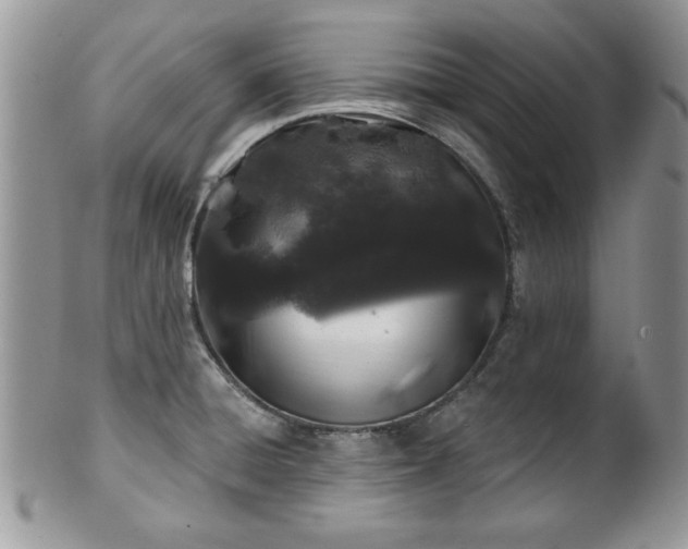 X0000100391428200806130942