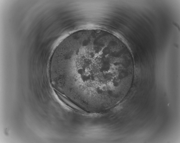 X0000100391429200806130942