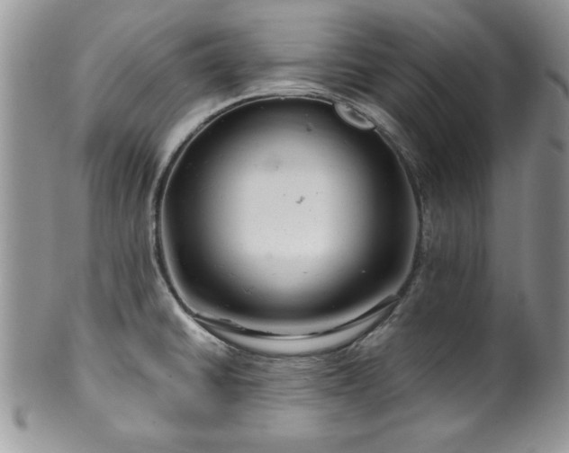 X0000100391430200806130942