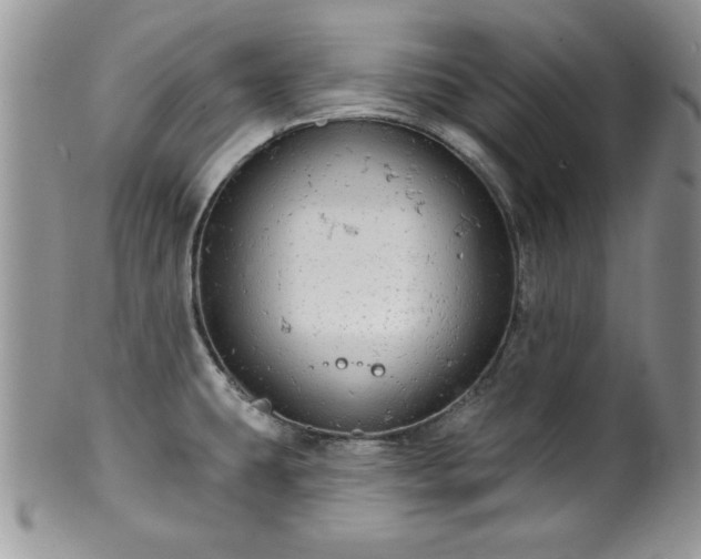 X0000100391431200806130942