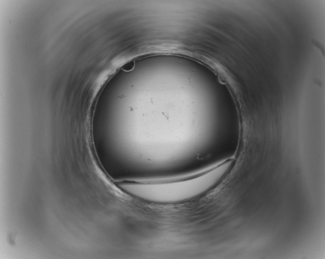 X0000100391432200806130942