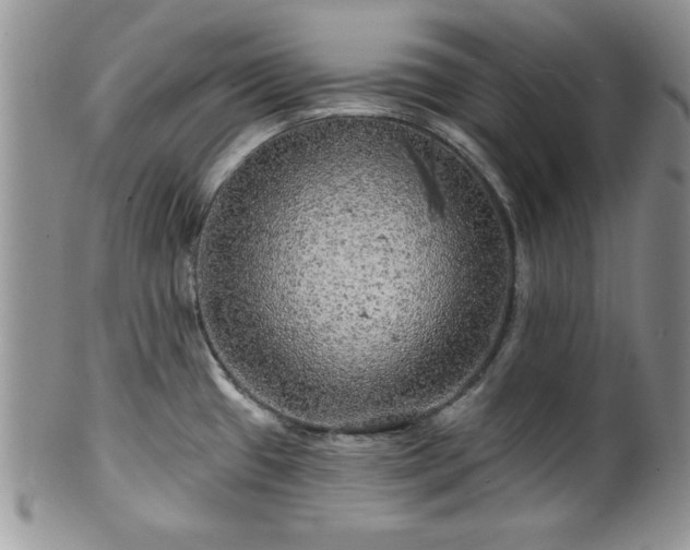 X0000100391433200806130942