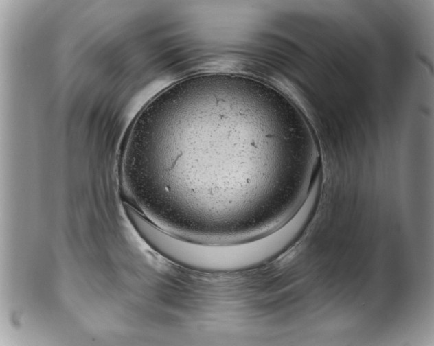 X0000100391434200806130942