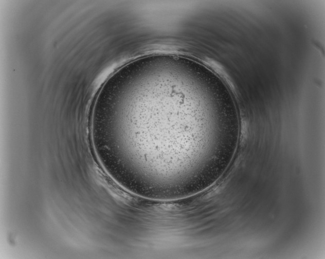 X0000100391435200806130942