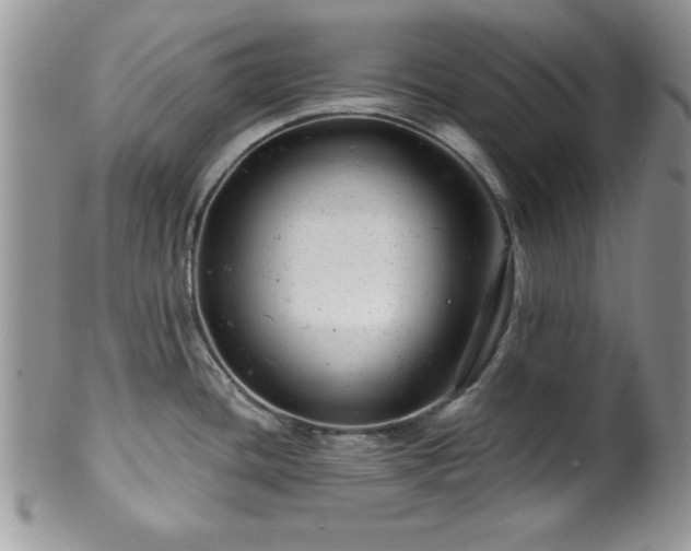 X0000100391436200806130942