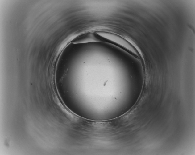 X0000100391437200806130942