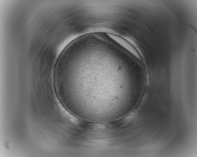 X0000100391438200806130942