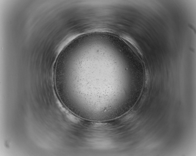 X0000100391439200806130942