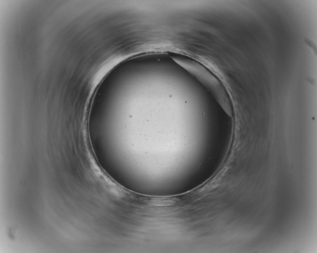 X0000100391440200806130942