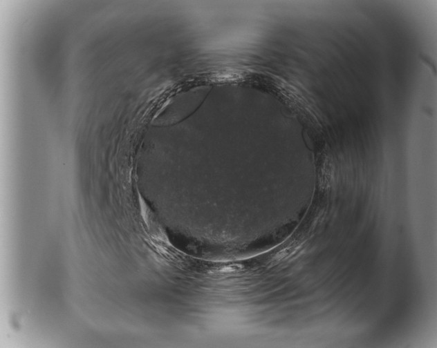 X0000100391441200806130941