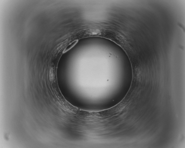 X0000100391442200806130941